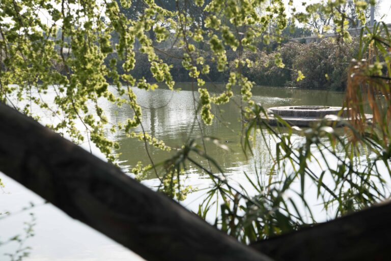 Riserva Naturale dei Laghi di Conversano e Gravina di Monsignore