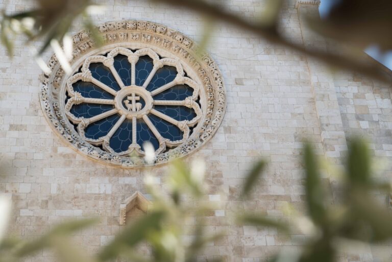 Dettaglio del rosone in stile romanico della Cattedrale di Conversano, visto attraverso rami di ulivo che incorniciano la facciata in pietra chiara.