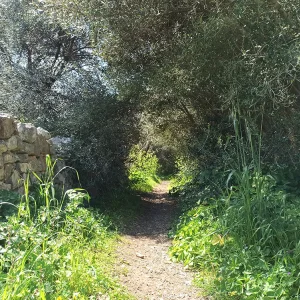 Itinerari nella Natura di Conversano