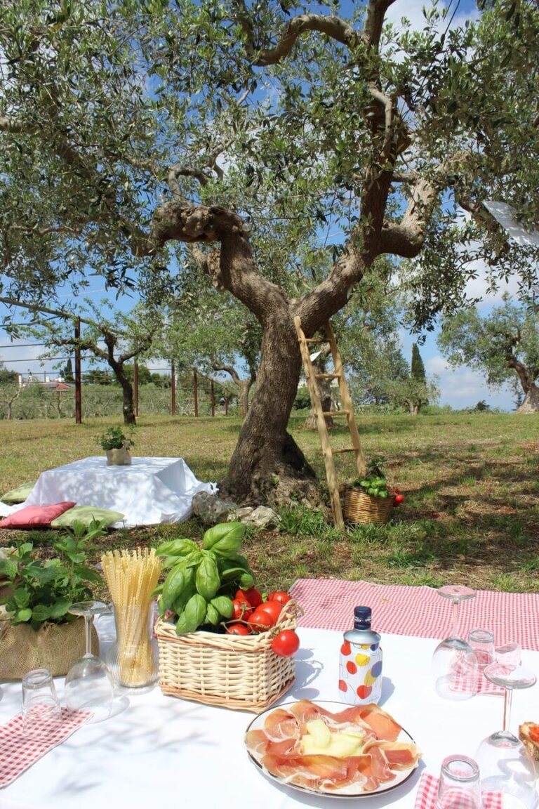 PIC NIC GRATUITO